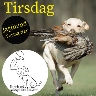 Tirsdag Kl. 19.05 - Jagthund Fortsætter Jan.