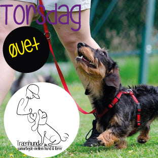 Torsdag Kl. 18.00 Unghund Øvet Okt.-Feb