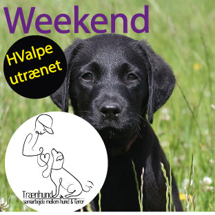 Weekend Utrænet hvalpe Okt.