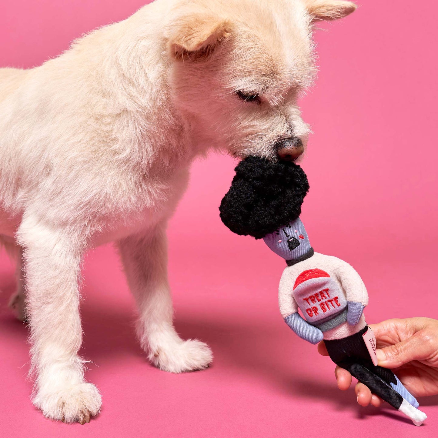 Zombie Nosework Legetøj – Sjov og Mental Stimulering for Din Hund