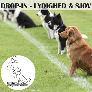 Lydighed og sjov