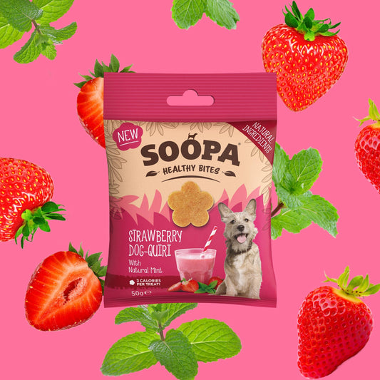 🍓 Soopa  – Strawberry Dog-Quiri