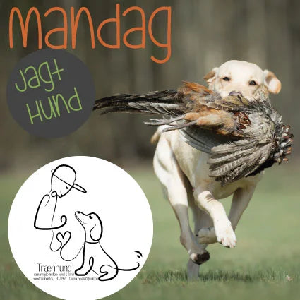 Retriever træning Mandag kl. 18.00 April