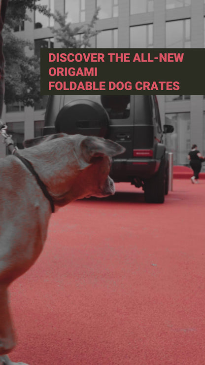 1One1 Origami Hundetransportbur