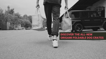 1One1 Origami Hundetransportbur